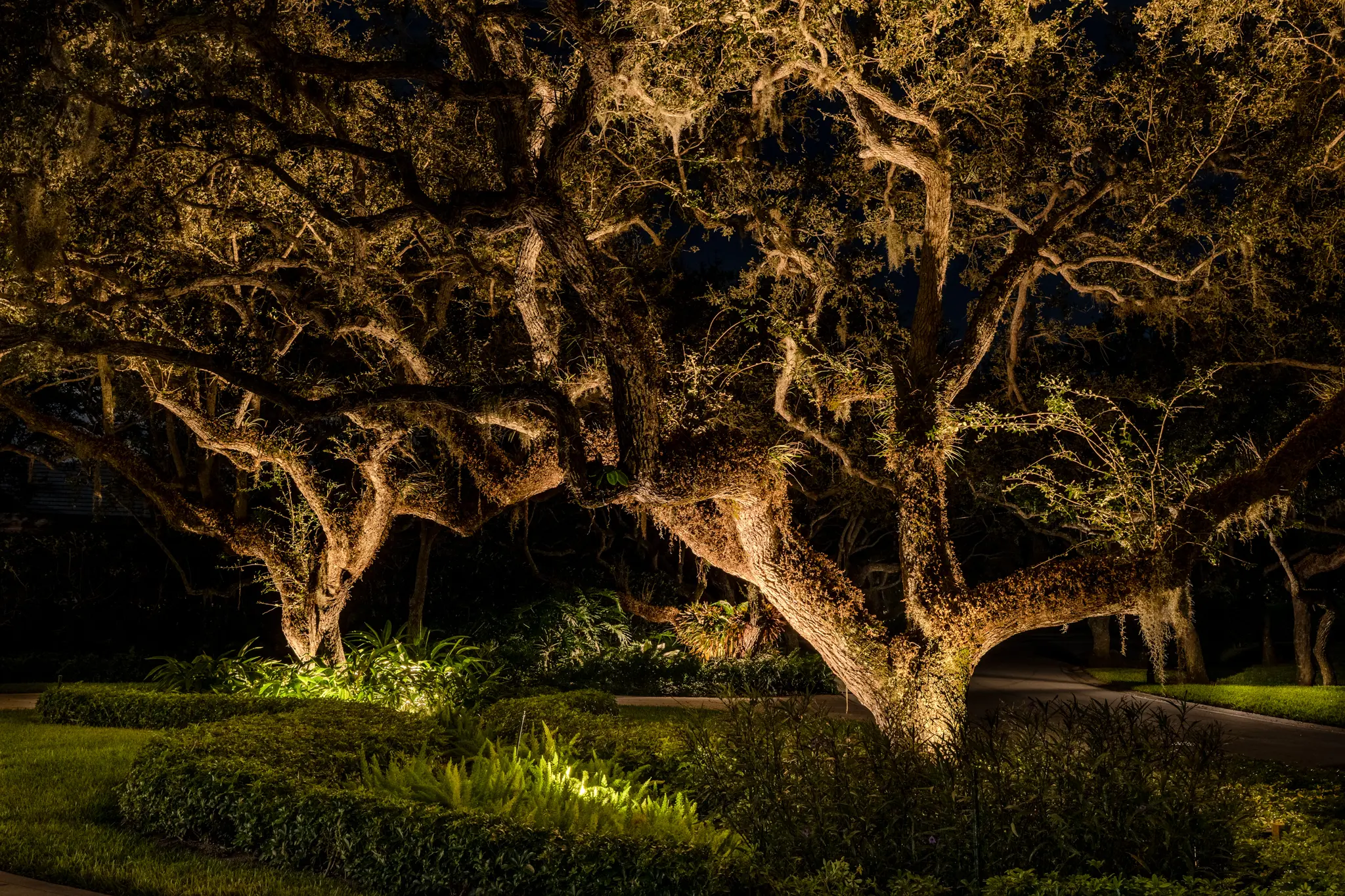 Elegant-Nightscapes-4