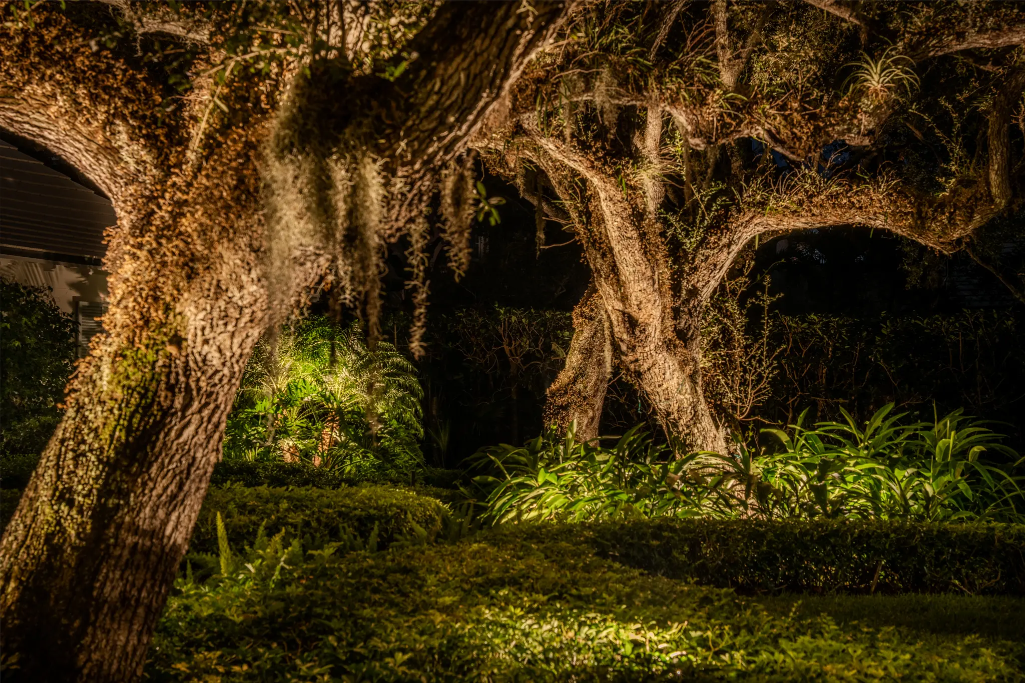 Elegant-Nightscapes-5