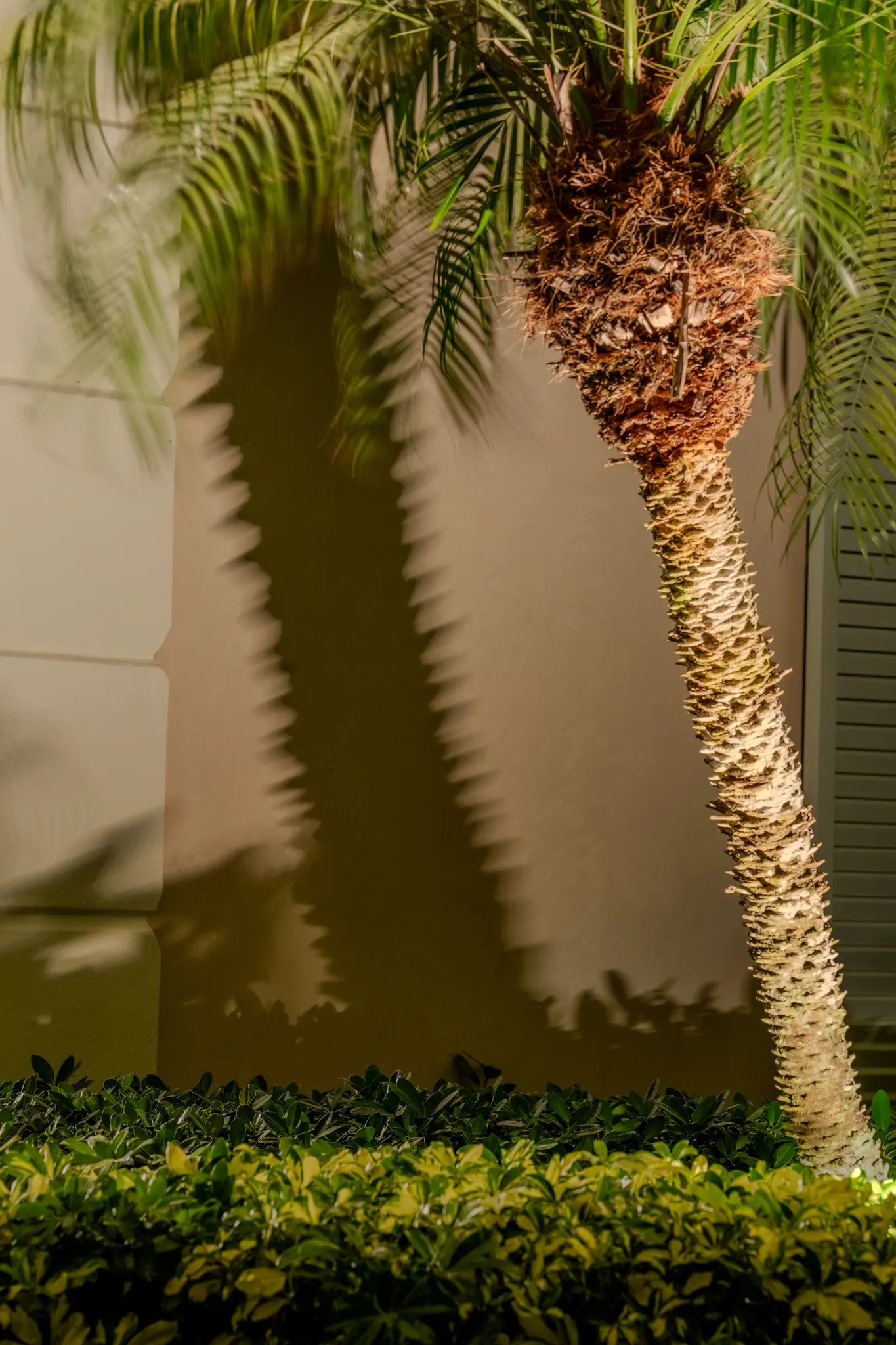 Elegant-Nightscapes-9